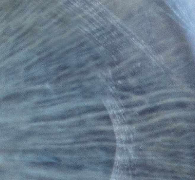 Screenshot 2025-08-03 113406