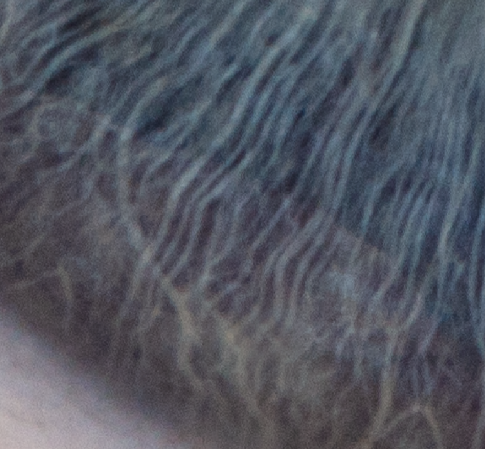 Screenshot 2025-08-03 113632